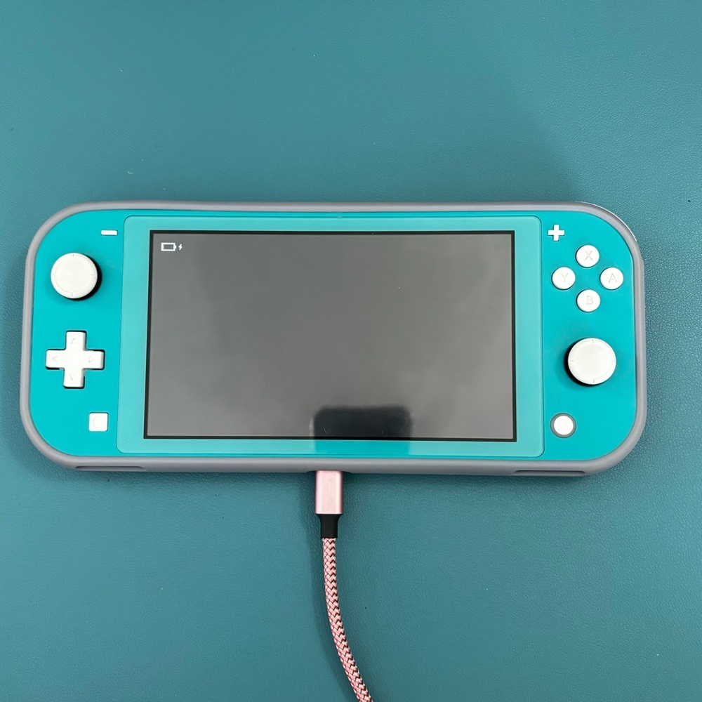 READ DESCRIPTION * Nintendo Switch Lite
